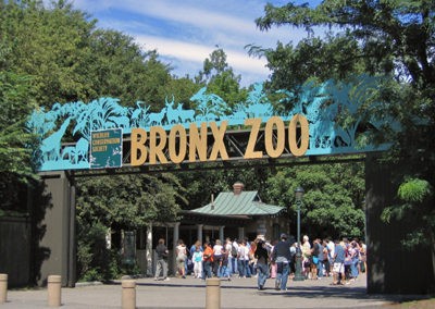 Bronx Zoo